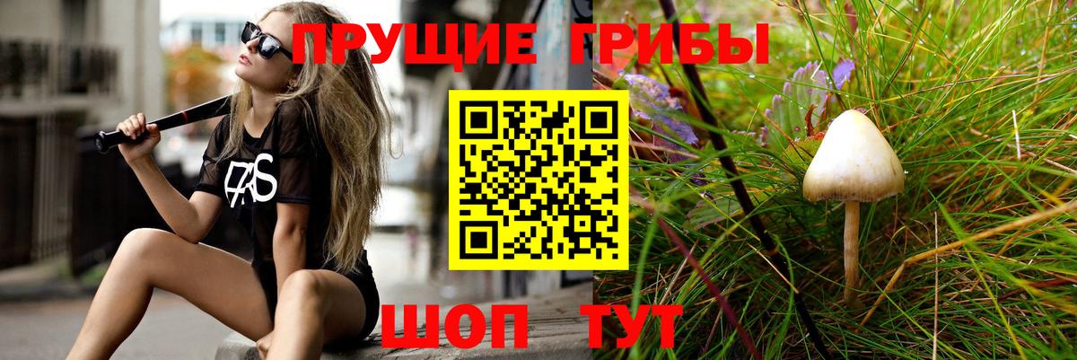 Канабис Кимры